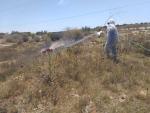 campagne de lutte contre les insectes le 24 juin 2026