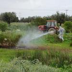 campagne de lutte contre les insectes le 06 mars 2025