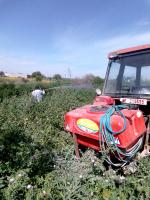 campagne de lutte contre les insecte le 13 mars 2025