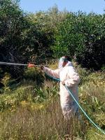 campagne de lutte contre les insectes le 17 juin 26