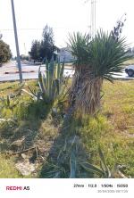 campagne de propriété et d'entretien des espaces verts le 20 avril 2026