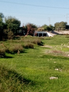 camp268.jpg