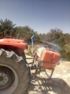 gharraf1.jpg